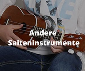 Andere Saiteninstrumente